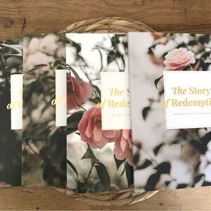 Daily Grace Co. Story of Redemption Bible Study Bible Tabs